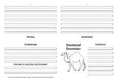 Dromedar-Faltbuch-vierseitig-1.pdf